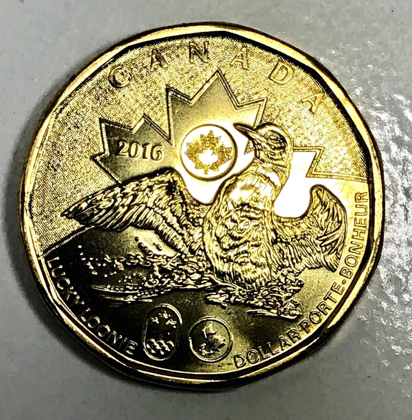 Lucky Loonie Ring 2016 Canada Canadian Dollar Handmade Personal Jewelry Ring Gift For Friend Coin Ring Gift For Him Her World Coin Collector