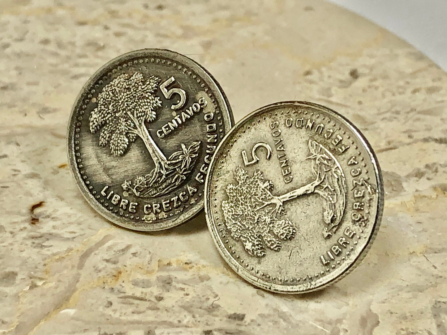 Guatemala Coin Stud Earrings Set Guatemalan 5 Centavos Vintage Handmade Jewelry Gift Friend Charm For Him Her World Coin Collector