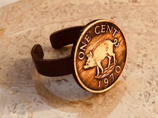 Bermuda Coin Ring Bermudian One Cent Pig Boar Adjustable Custom Vintage and Rare Coins Coin Enthusiast Fashion Accessory Handmade