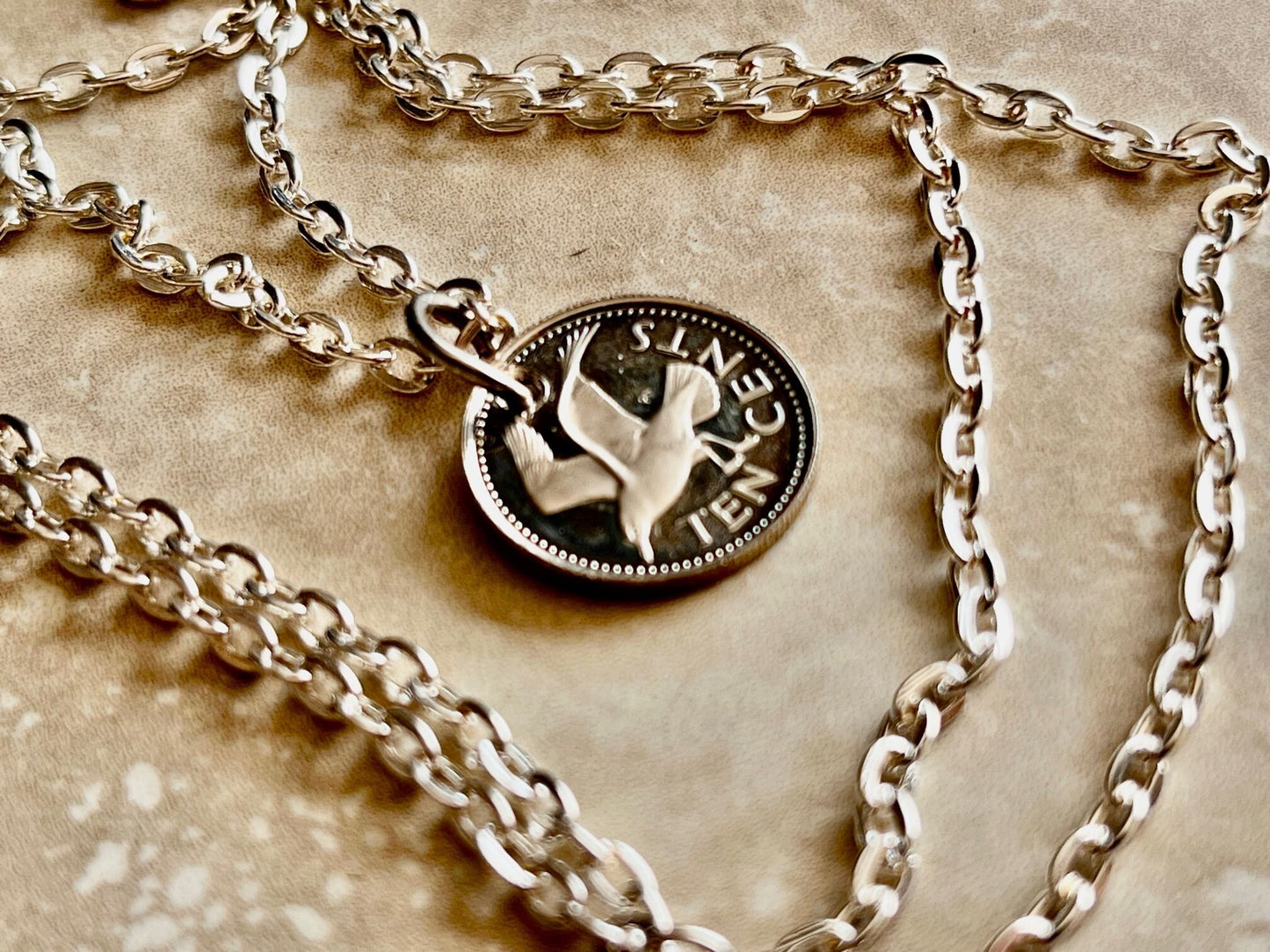 Barbados Pendant Coin Necklace From Proof Set 10 Cent Laughing Gull Custom Made Vintage and Rare coins - Coin Enthusiast - Fashion Accessory