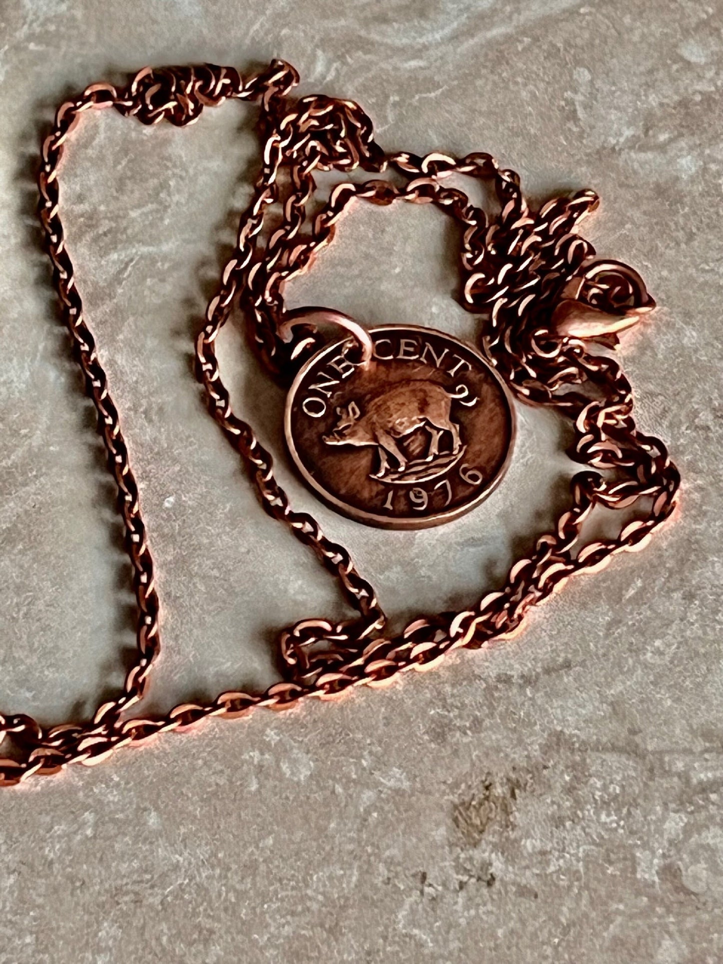 Bermuda Coin Pendant One Cent Necklace Wild Bore Handmade Custom, Charm Gift For Friend Coin Charm Gift For Him, Coin Collector, World Coins